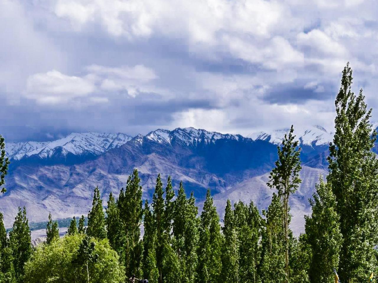 Hotel City Palace Leh Bagian luar foto