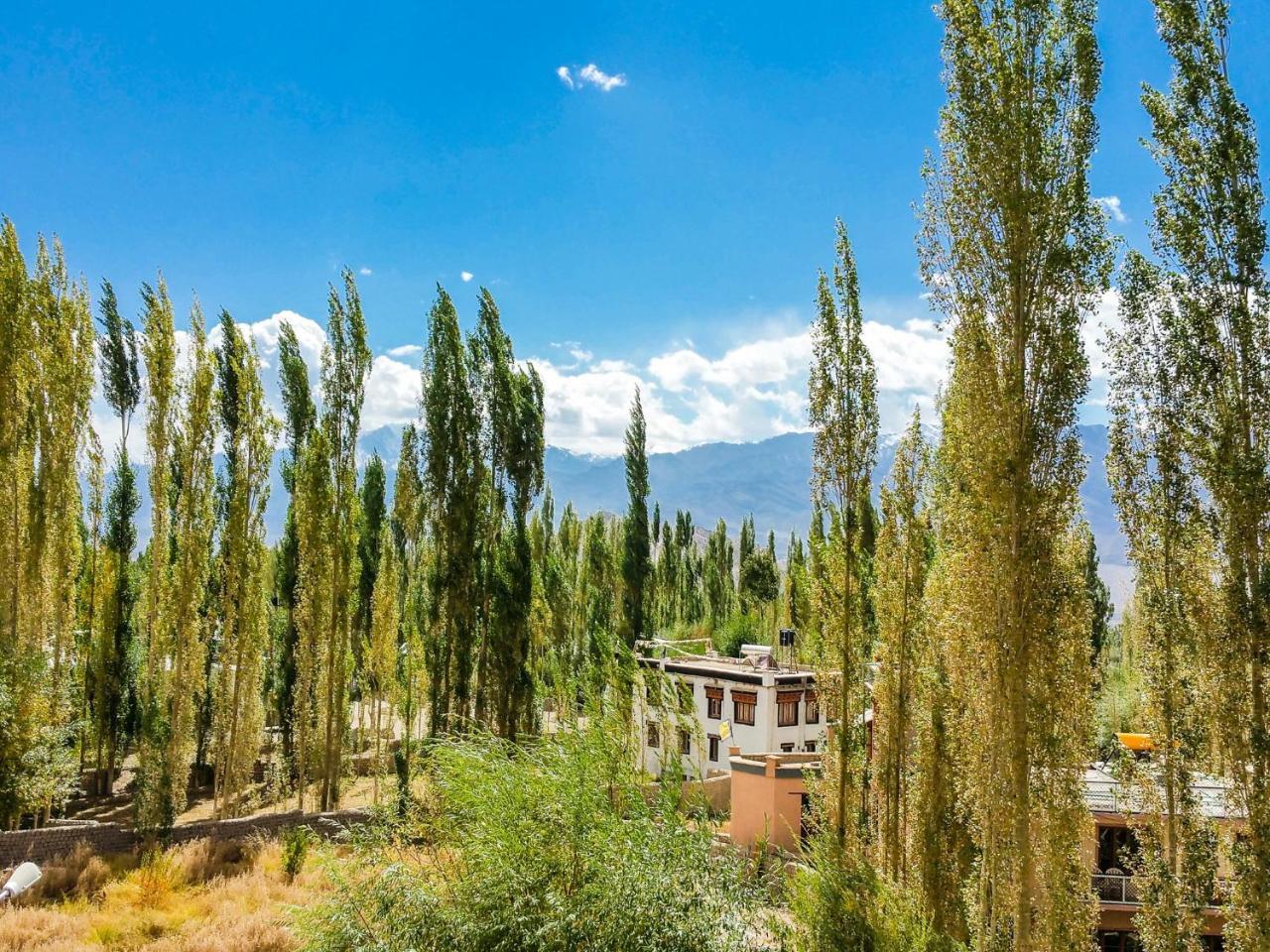 Hotel City Palace Leh Bagian luar foto