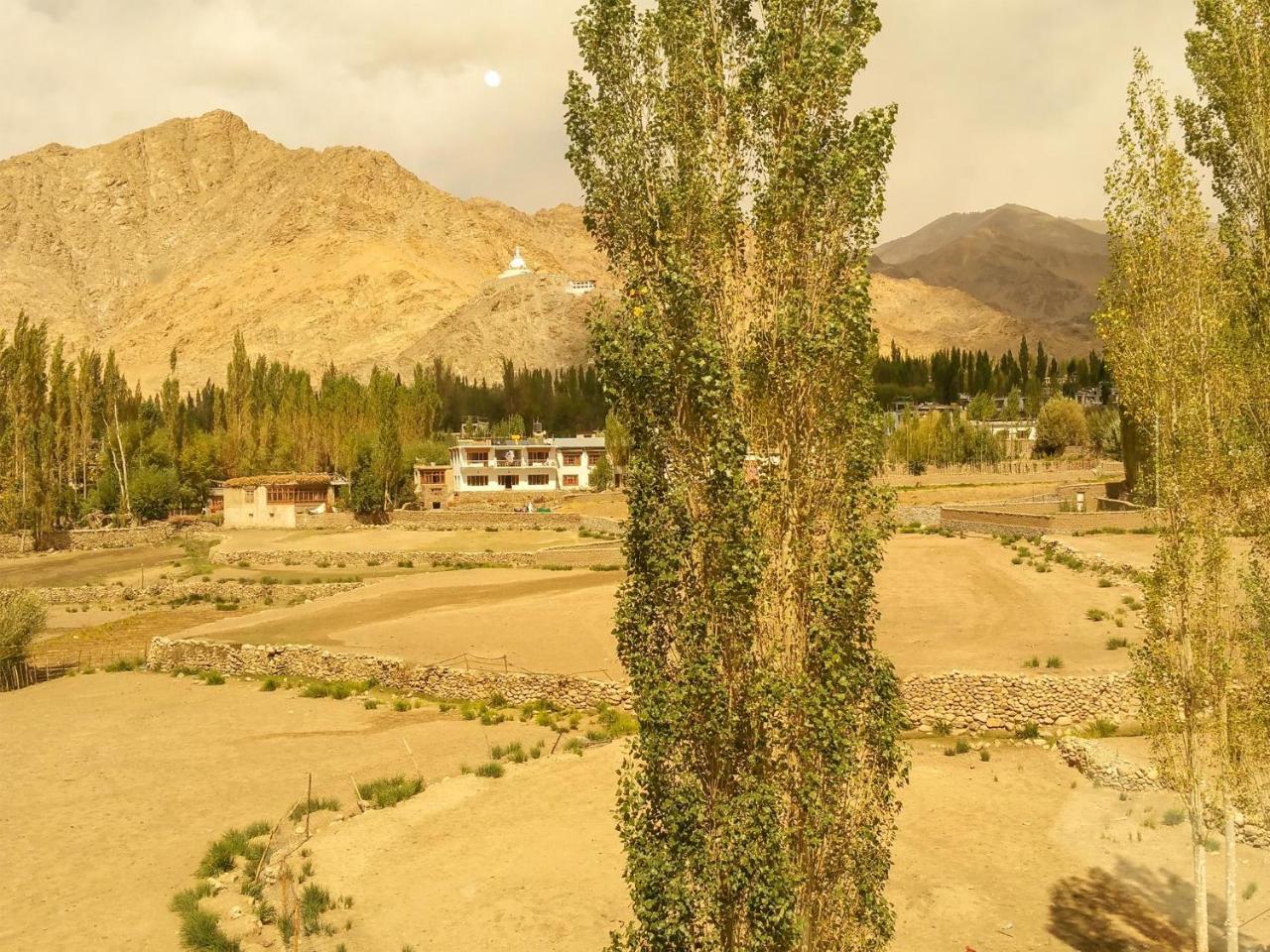 Hotel City Palace Leh Bagian luar foto